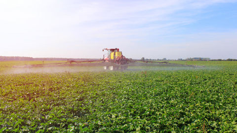 L'acétamipride, qui a été au cœur de la loi Duplomb, centralise tous les débats, éclipsant les mesures sur l'eau et les élevages soumis aux normes ICPE.
