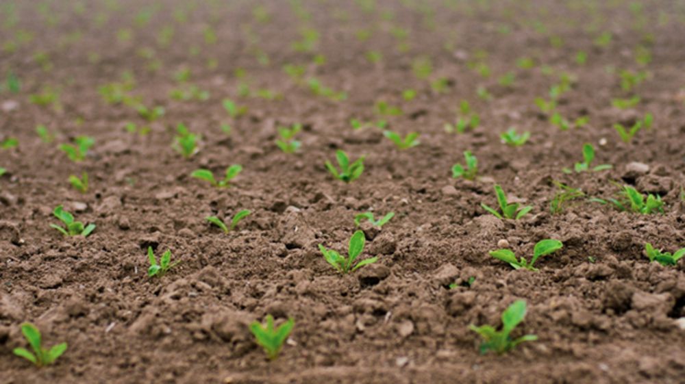 Beetup® Pro, Beetup®Max : efficacité garantie même en conditions difficiles