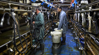 « Au régime agricole, il y a un cotisant actif pour 2,3 retraités » non-salarié, explique Anne-Laure Torresin, directrice générale de la MSA.