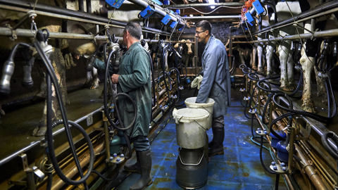 « Au régime agricole, il y a un cotisant actif pour 2,3 retraité » non-salarié, explique Anne-Laure Torresin, directrice générale de la MSA