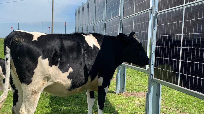 « L’énergie renouvelable doit être un levier de développement. Ma grosse inquiétude est que cela ne soit qu’une bulle car tout est très dépendant des politiciens », lançait Ugo Batel, directeur innovation et transition chez Oxyane, dans le cadre d'une conférence sur la place des coopératives dans l'agrivoltaïsme, le 5 novembre à Paris.