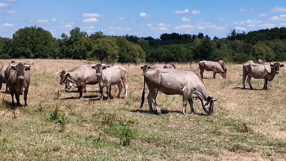 Agrivoltaïsme : le partenariat gagnant-gagnant de REDEN