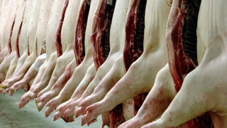 Dans l'attente du verdict sur les droits anti-dumping chinois, l'interprofession nationale porcine s'inquiète des répercussions sur le marché du porc français et européen.