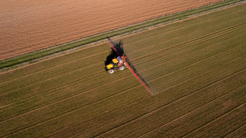 Arvalis rappelle que le positionnement du traitement herbicide coïncide rarement avec la date optimale du traitement insecticide.
