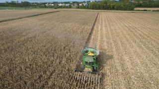 Les parcelles non irriguées sont logiquement beaucoup plus touchées par les chutes de rendement.