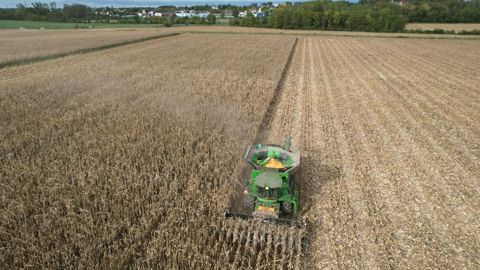 Les parcelles non irriguées sont logiquement beaucoup plus touchées par les chutes de rendement.