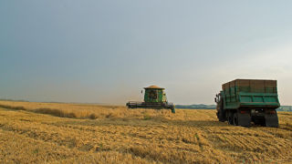 « L’Ukraine ne représente que 1 % du PIB de l’UE, mais apporterait 21,5 % de sa surface agricole utile », souligne le cercle de réflexion Agridées.