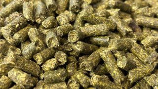 En France, l'alimentation des ruminants est le principal débouché de la luzerne déshydratée (ici sous forme de pellets).