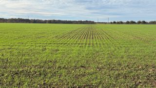 Le caractère exceptionnel du phénomène de douceur sur la France tient surtout à sa durée.