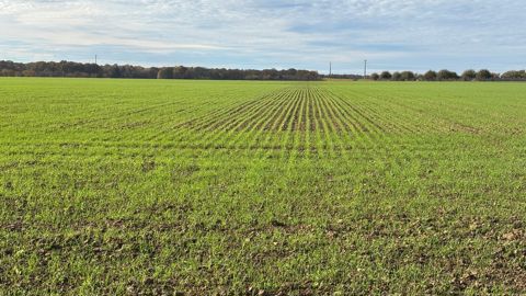 Le caractère exceptionnel du phénomène de douceur sur la France tient surtout à sa durée.