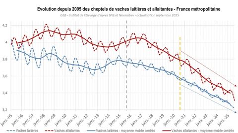Evolution du cheptel bovin français depuis 2005