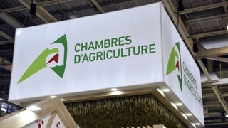 L'amendement proposé par les chambres d'agriculture permettrait d'augmenter les budgets des chambres de 3,6 millions d'euros.