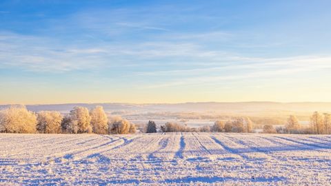 La neige pourrait faire son apparition en plaine jeudi.