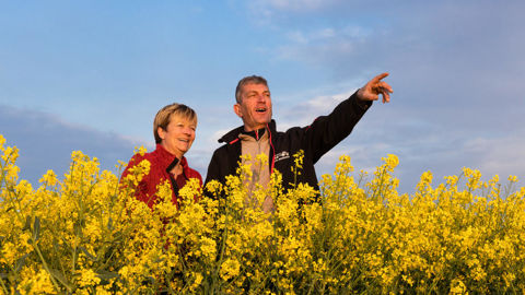 La réforme des retraites agricoles, dites « des 25 meilleures années », devrait permettre aux exploitants ayant eu des revenus fluctuant dans leur carrière d'avoir une meilleure retraite.