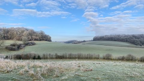 Le gel sera-t-il au rendez-vous de l'hiver 2025-2026 ?
