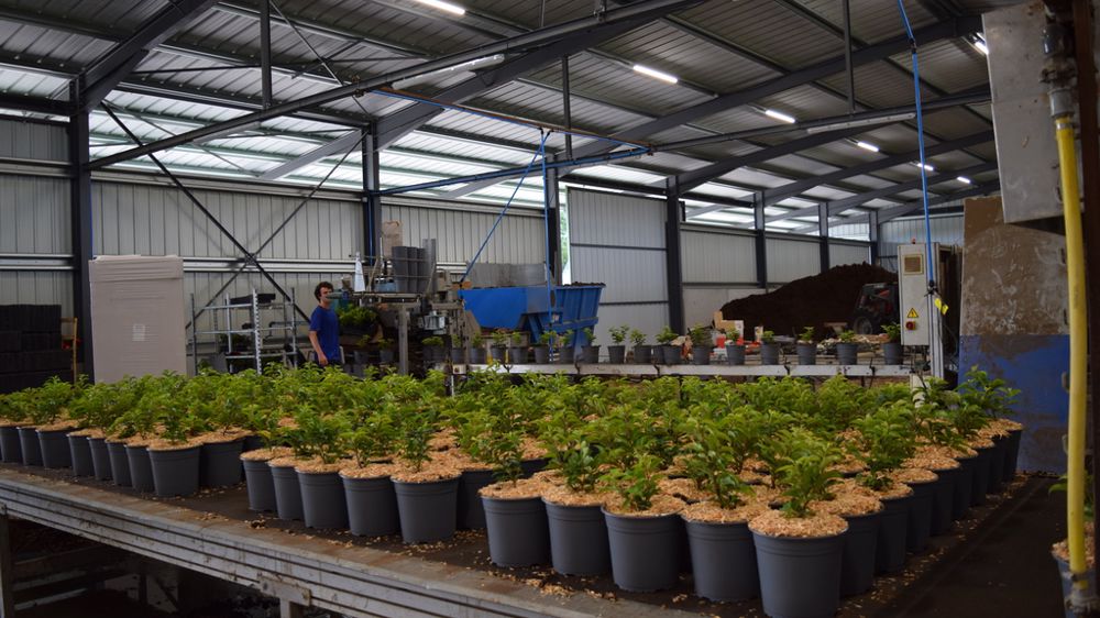 Hortival Diffusion est spécialisée dans la production de plantes et fruitiers d'ornement. Une part de sa production est sous-traitée auprès d'une dizaine d'horticulteurs.