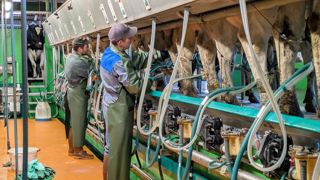 En France, le prix moyen payé aux producteurs passe à 511 €/t en septembre, une hausse de 14 € sur un mois.