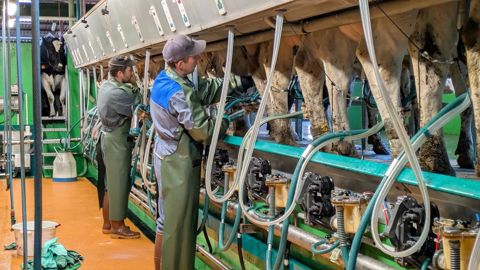 En France, le prix moyen payé aux producteurs passe à 511 €/t en septembre, une hausse de 14 € sur un mois.