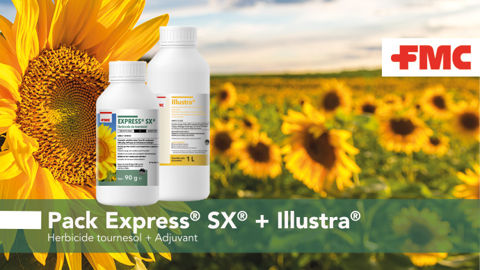 Express® SX® : performance et sécurité pour désherber vos tournesols VrTH