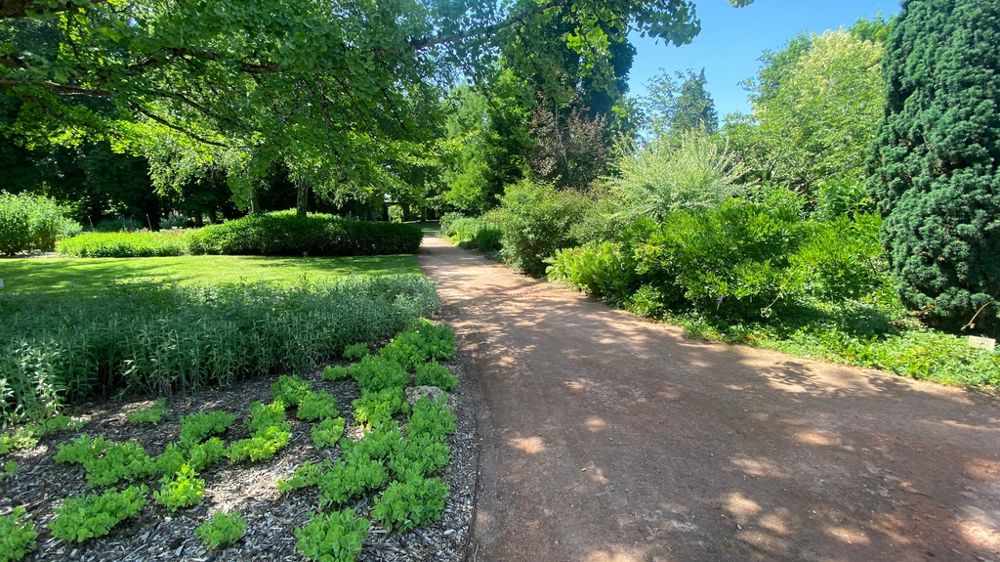 La réutilisation des eaux usées traitées sert à irriguer les 12 ha du parc floral de la Source, à Orléans, en évitant de prélever près de 100 000 m³ d'eau dans le milieu naturel.