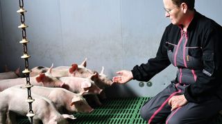 Dans l’élevage, Christine s’occupe principalement du bloc maternité et post-sevrage avec l’alimentation et les soins aux animaux.