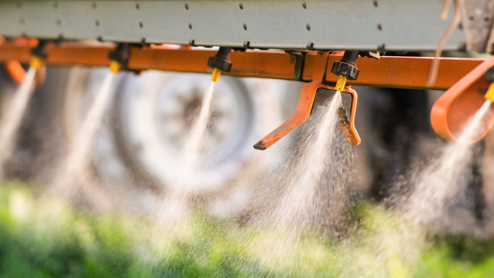 Le Conseil constitutionnel a censuré cet été la réintroduction de l'acétamipride.