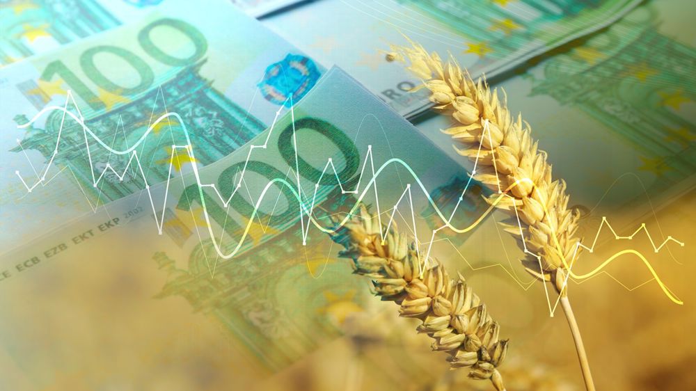 La production mondiale de blé a été relevée par le Conseil international des céréales de 3 millions de tonnes pour 2025-26, pour atteindre 830 Mt.