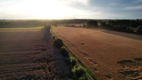Dans le scénario imaginé par Solagro, l'artificialisation des sols serait contenue à 300 000 hectares en France d'ici à 2050.