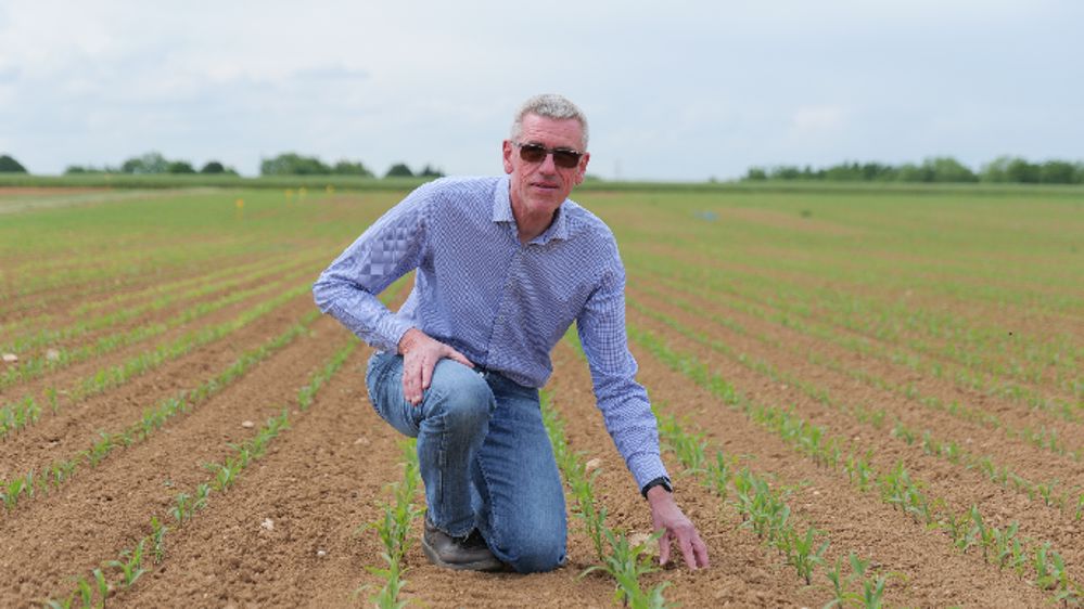 Interview vidéo de Jérôme Labreuche, Arvalis : parole d’expert sur le labour