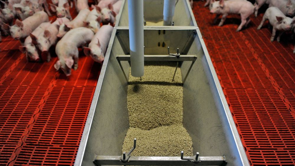 L’économie des ressources et le recours aux coproduits d’industrie font partie intégrante de l’ADN des entreprises de nutrition animale.