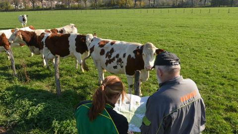Le nouveau guichet pour l'installation et la transmission, France Services Agriculture, sera en test du 2 janvier au 31 juillet 2026.