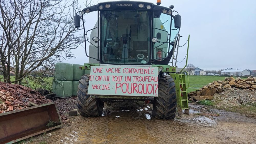 Sur l'EARL Lhomme, la Confédération paysanne et la Coordination rurale unissent leurs forces pour empêcher l'abattage d'un troupeau de bovins touché par la DNC, malgré une vaccination 5 semaines auparavant.