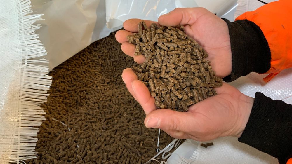 En partenariat, Olmix et Violleau optimisent la nutrition des cultures grâce au lancement des nouvelles solutions Vio Acti Boost.