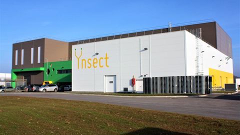La start-up Ynsect, spécialisée dans la production de protéines et d’engrais à base d’insectes, a annoncé sa liquidation judiciaire.