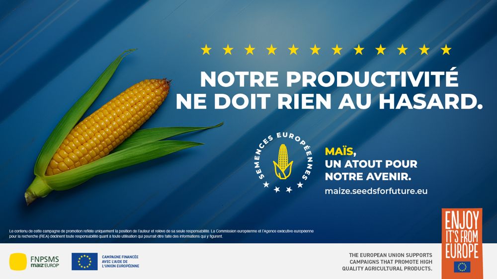 Le maïs, une culture de passionnés