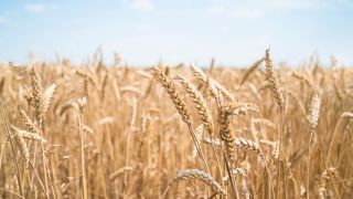 Où fait-il bon s’installer agriculteur en France ? Décryptage région par région