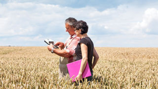 Le conseil « du quotidien » ne se limite pas aux problématiques des phytos.