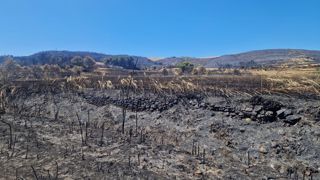 16 000 hectares ont été ravagés par l'incendie géant dans l'Aude l'été dernier.