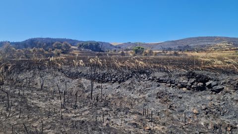 16 000 hectares ont été ravagés par l'incendie géant dans l'Aude l'été dernier.