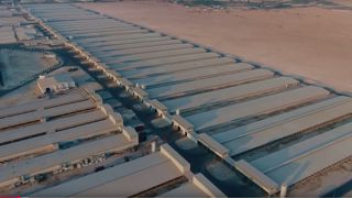 À coups d'investissements massifs, des pays comme le Qatar se rapprochent de l'autosuffisance en lait.