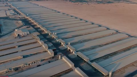 À coups d'investissements massifs, des pays comme le Qatar se rapprochent de l'autosuffisance en lait.