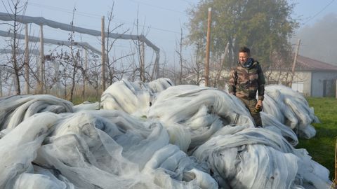 Cyril Sueres, arboriculteur tarn-et-garonnais, donne à Occitalien les filets usagés qui lui servaient sur 3 ha de vergers et qu’il a remplacés récemment.