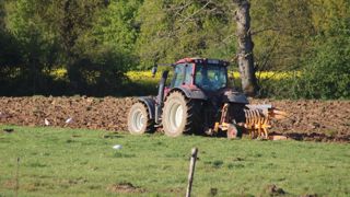 Une prairie temporaire qui n'a pas été labourée basculerait en prairie permanente au bout de sept ans au lieu de cinq.