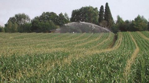 La filière semences et plants est impliquée dans deux groupes de travail du Grand réveil alimentaire (grandes cultures, et fruits/légumes).