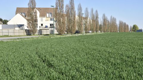 Les députés veulent donner avec leur proposition de loi « un véritable élan d'attractivité » aux communes rurales.