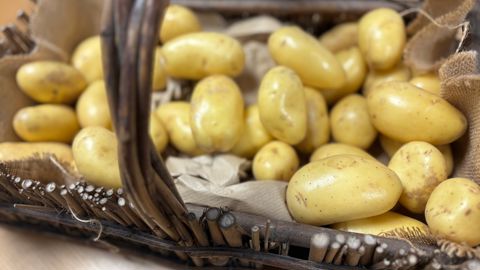 L’étude a permis de calculer le bilan carbone initial de la filière qui s’élève à 294 kg de CO₂ équivalent par tonne de pommes de terre.