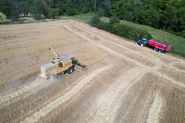 Le nouveau propriétaire devra respecter les droits du preneur jusqu'à l'expiration du bail.