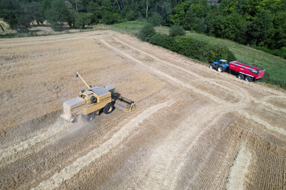 Le nouveau propriétaire devra respecter les droits du preneur jusqu'à l'expiration du bail.