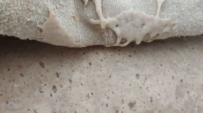 Traditions du levain dans le monde : voyage aux pays des levants - Technique