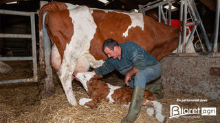 N'hésitez pas à nous soumettre vos idées de noms en B en commentaire de l'article !